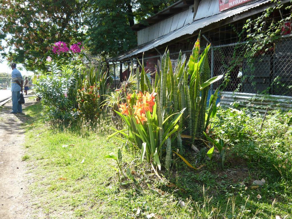 Hotel Chez Marie Alish Gros Islet Esterno foto